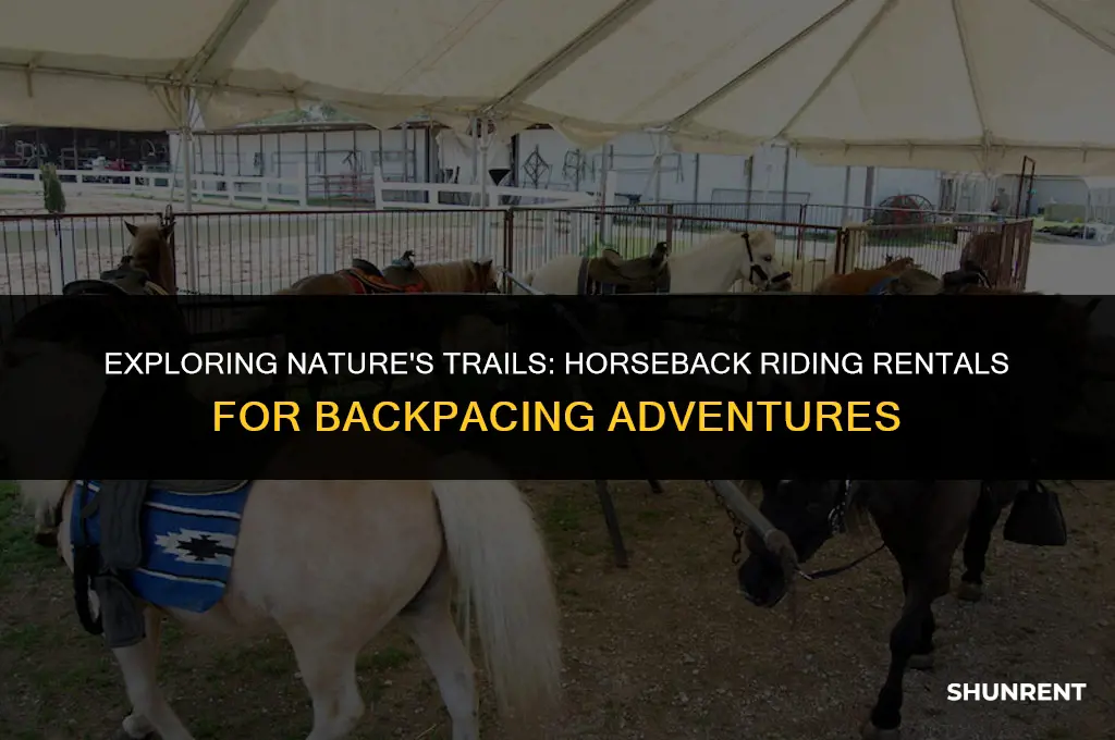 where to rent horses to go backpacing