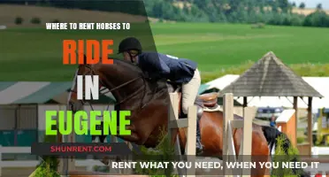 Discover Top Horse Rental Spots for Riding in Eugene, Oregon