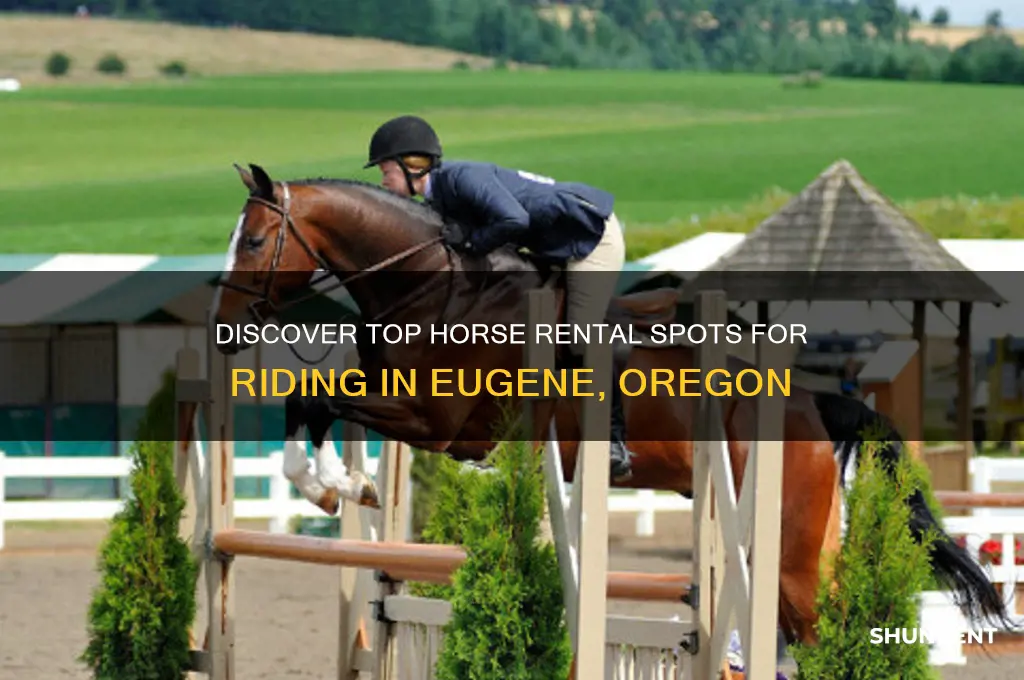 where to rent horses to ride in eugene