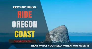 Oregon Coast Horseback Riding: Top Spots to Rent Horses