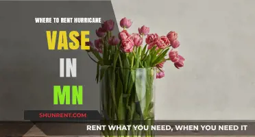 Where to Rent Hurricane Vases in Minnesota: A Comprehensive Guide