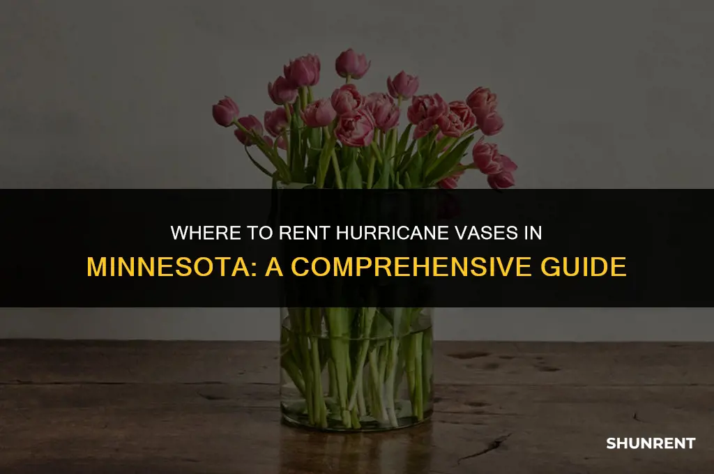 where to rent hurricane vase in mn