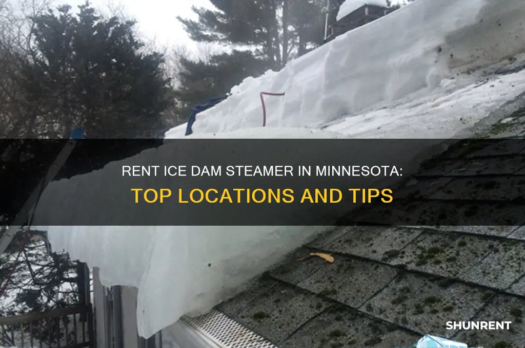 where to rent ice dam steamer in minnesota