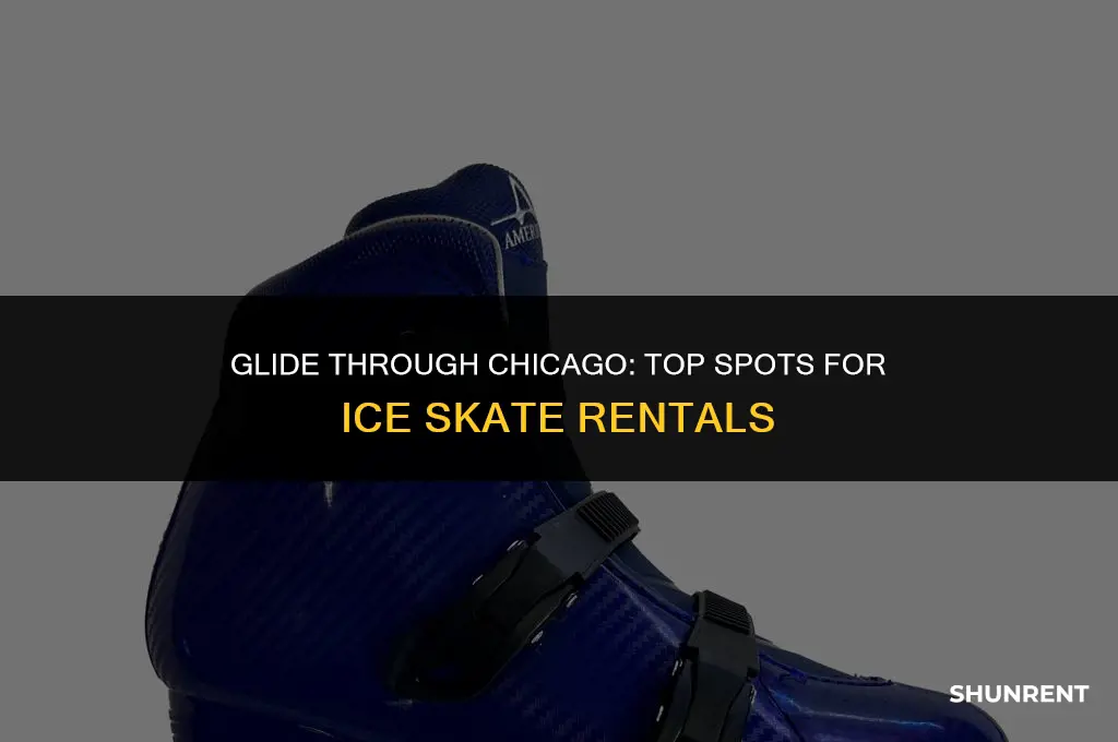 where to rent ice skates in chicago