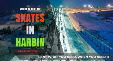 Glide Through Harbin: Top Spots for Ice Skate Rentals