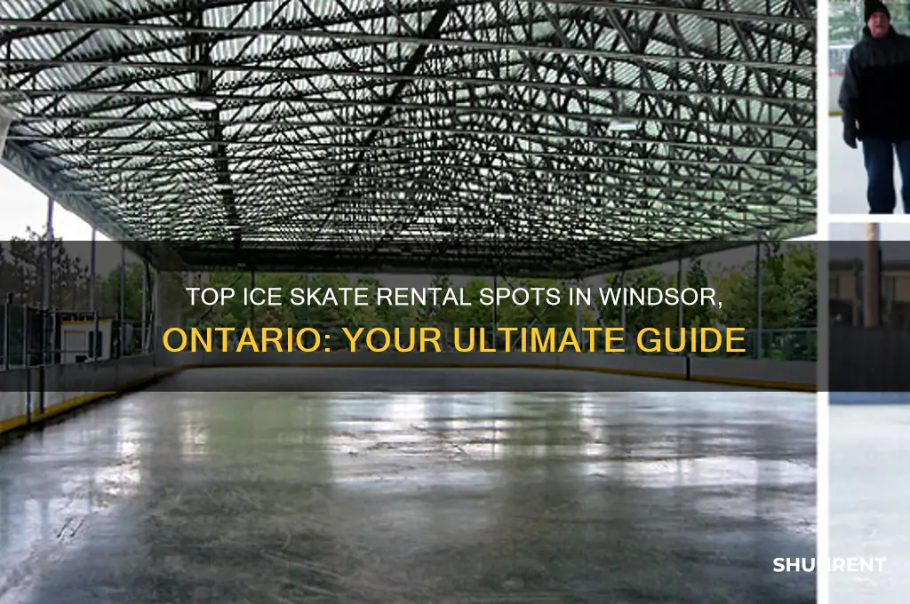 where to rent ice skates in windsor ontario