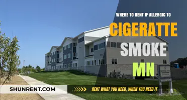 Smoke-Free Rentals in Minnesota: Best Options for Allergy Sufferers