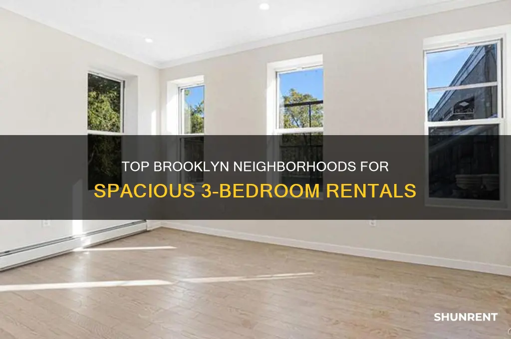 where to rent in brooklyn for 3 beds