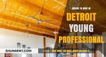 Top Neighborhoods for Young Professionals Renting in Detroit