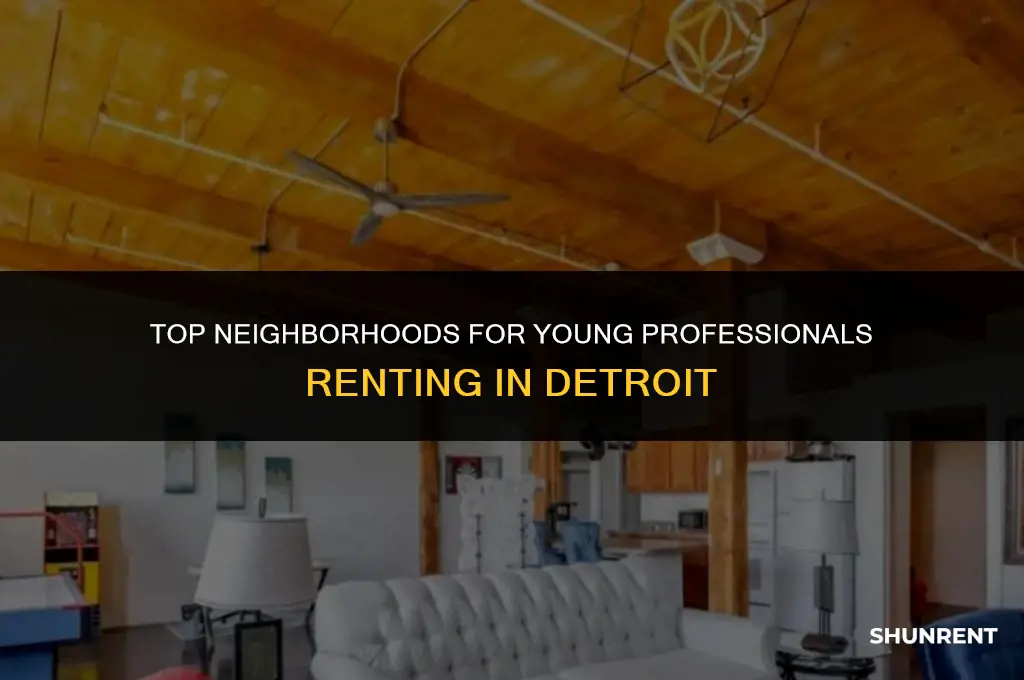 where to rent in detroit young professional