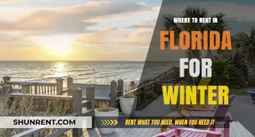 Sunny Winter Retreats: Top Picks for Renting in Florida