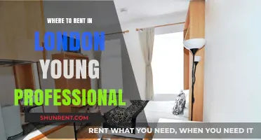 Prime Locations for Young Professionals Renting in London