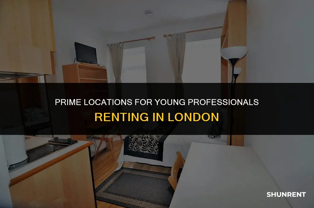 where to rent in london young professional