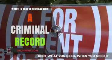 Finding Rentals in Michigan: Navigating Options with a Criminal Record