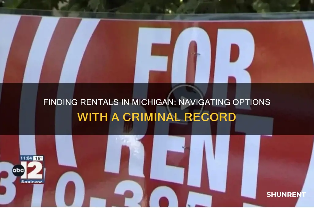 where to rent in michigan with a criminal record