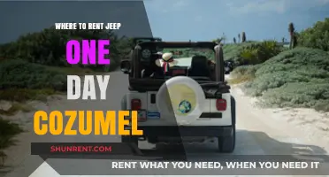 Exploring Cozumel: Your Guide to One-Day Jeep Rentals