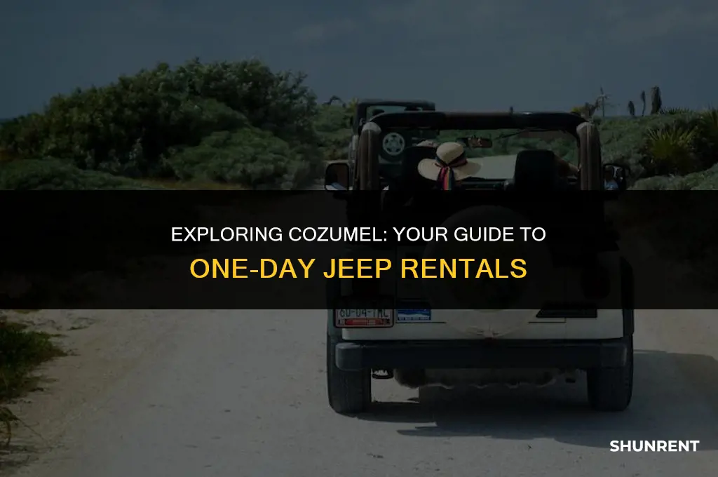 where to rent jeep one day cozumel