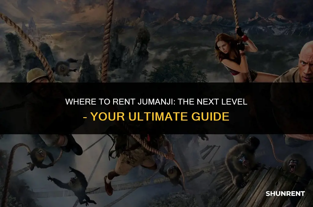where to rent jumanji the next level