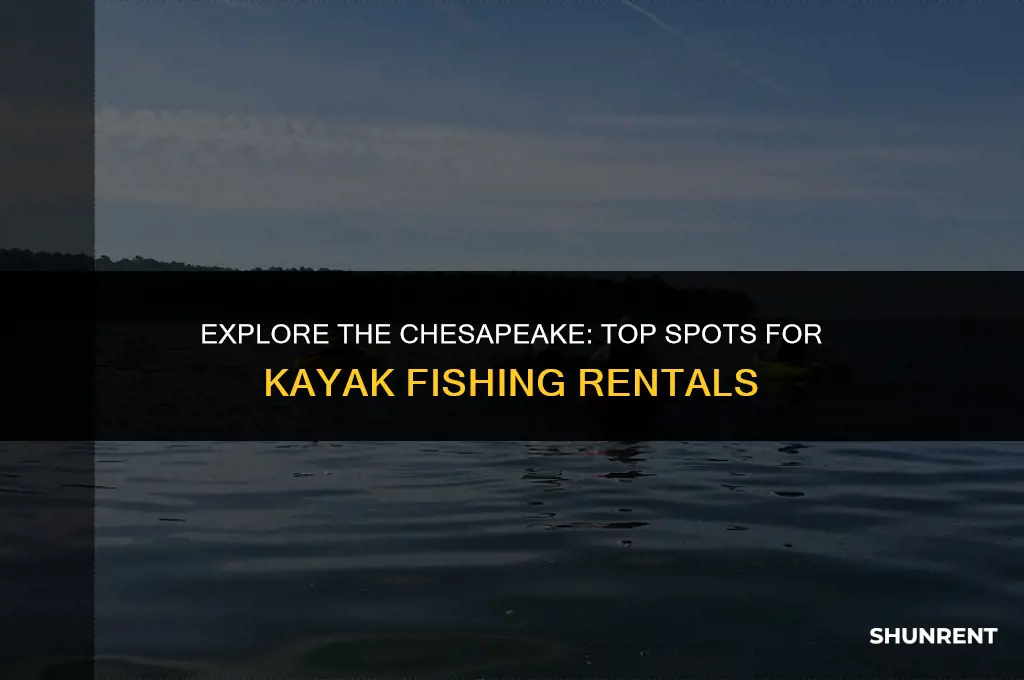 where to rent kayak fish chesapeake bay