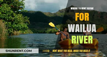 Exploring the Wailua River: Your Guide to Kayak Rentals