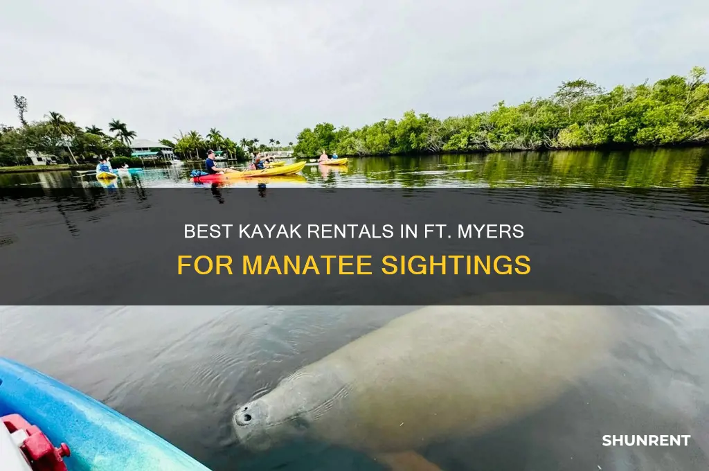 where to rent kayaks in ft meyers to see manatees