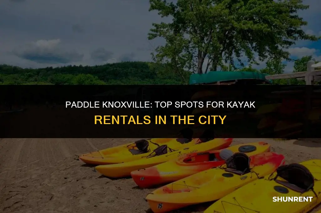 where to rent kayaks in knoxville tn