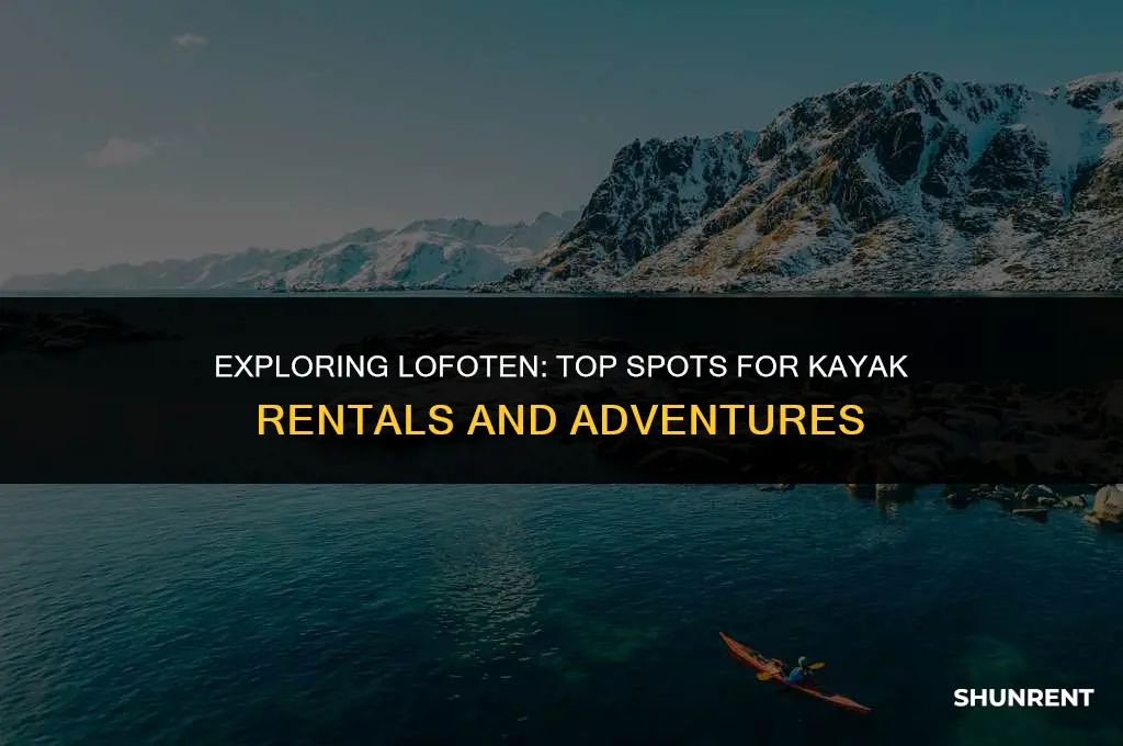 where to rent kayaks in lofoten islands