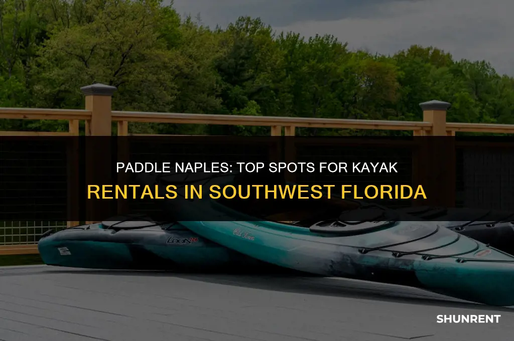 where to rent kayaks in naples fl