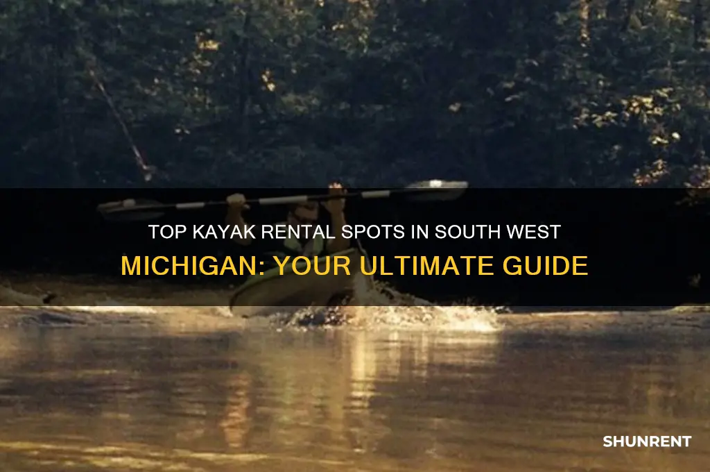 where to rent kayaks in south west mi
