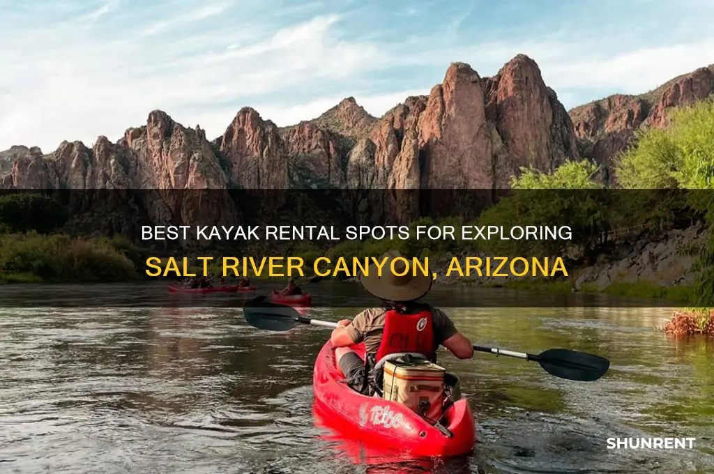where to rent kayaks salt river canyon az