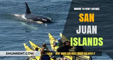 Paddle the San Juans: Your Guide to Kayak Rentals