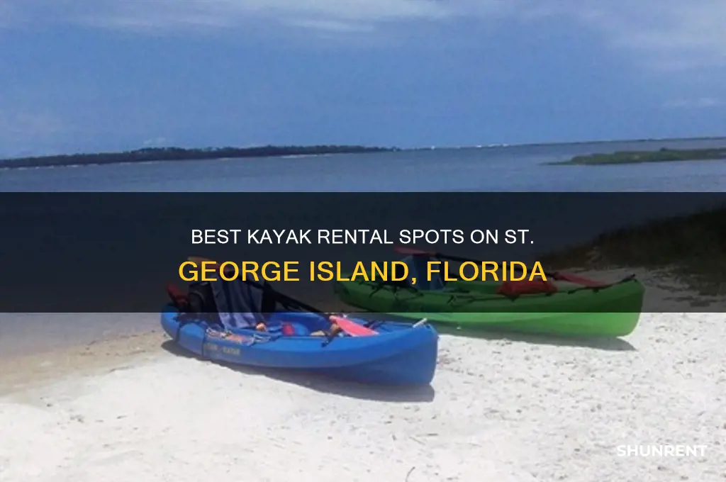 where to rent kayaks st george island florida