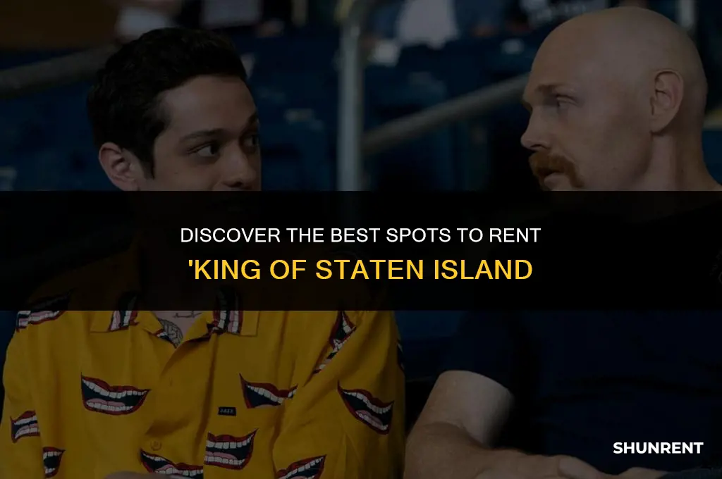 where to rent king of staten island