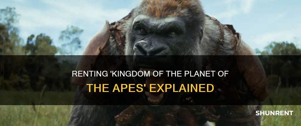 where to rent kingdom of the planet of the apes