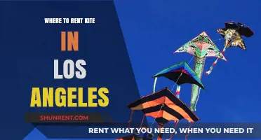 Best Spots to Rent Kites in Los Angeles: A Comprehensive Guide