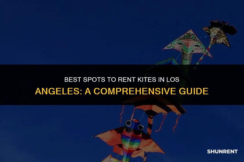 where to rent kite in los angeles