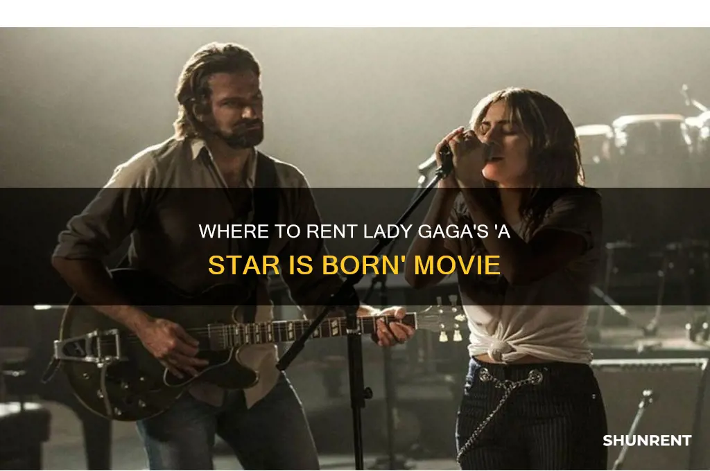 where to rent lady gaga a star is born