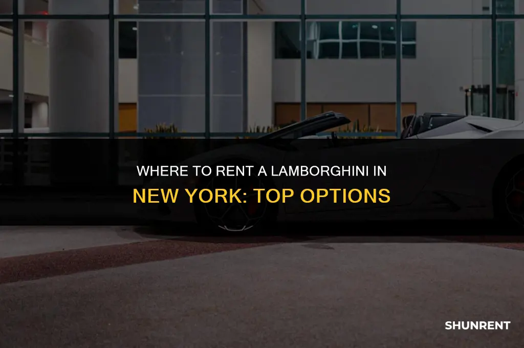 where to rent lamborghini in new york