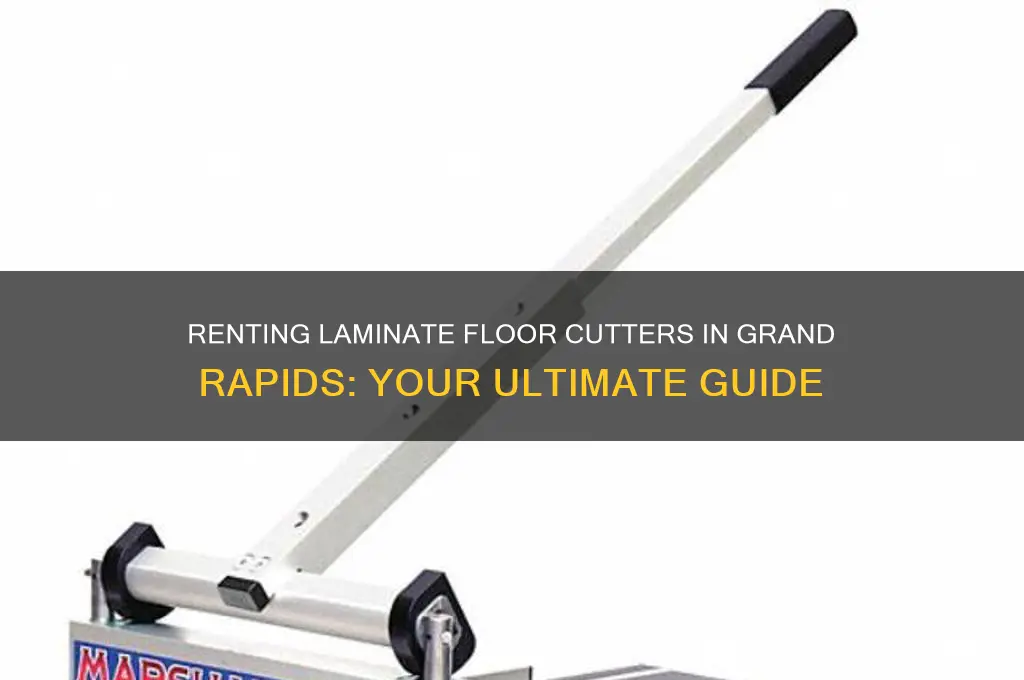 where to rent laminate floor cutter grand rapids michigan