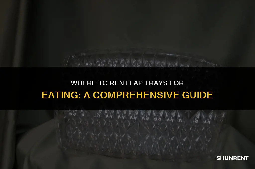 where to rent lap trays for eating