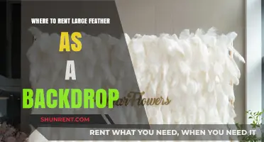 Renting Large Feather Backdrops: Top Locations for Stunning Event Decor