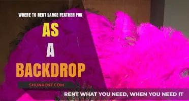 Renting Large Feather Fans for Stunning Event Backdrops: Top Tips