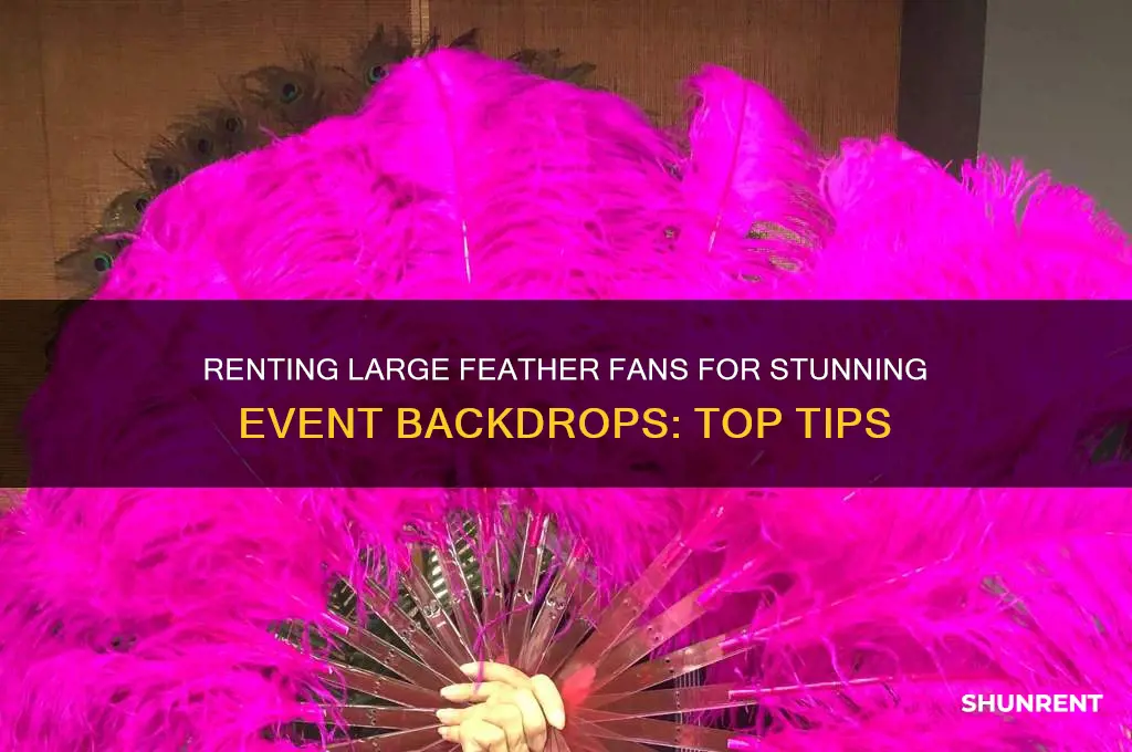 where to rent large feather fan as a backdrop
