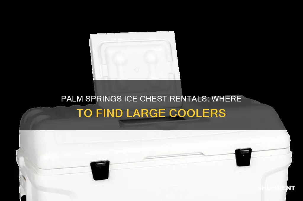 where to rent large ice chests palm springs