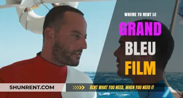 Exploring Options: Where to Rent 'Le Grand Bleu' Film