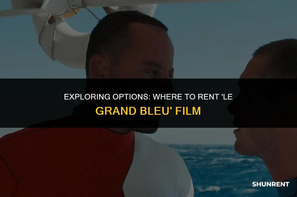 where to rent le grand bleu film