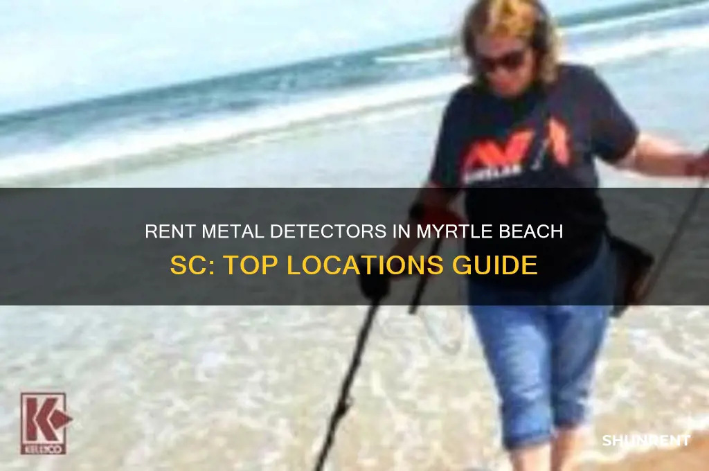 where to rent metal detector in myrtle beach sc