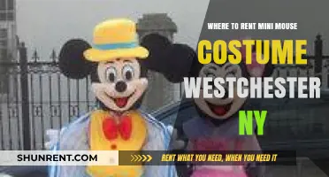Rent a Mini Mouse Costume in Westchester, NY: Top Spots