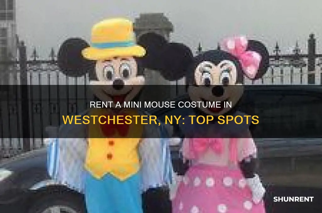 where to rent mini mouse costume westchester ny