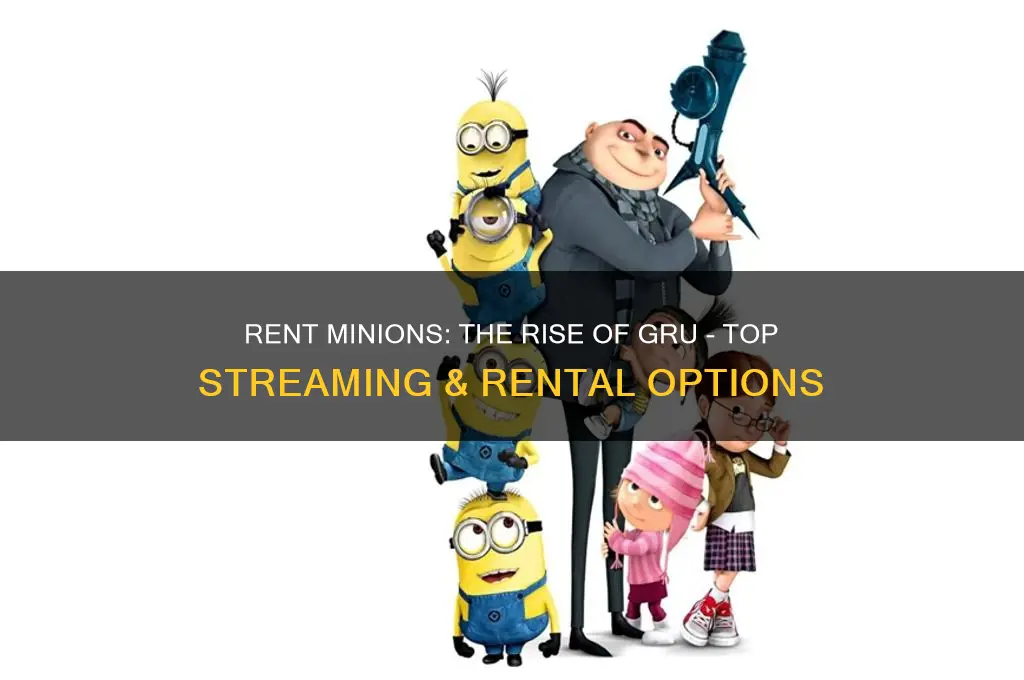 where to rent minions the rise of gru